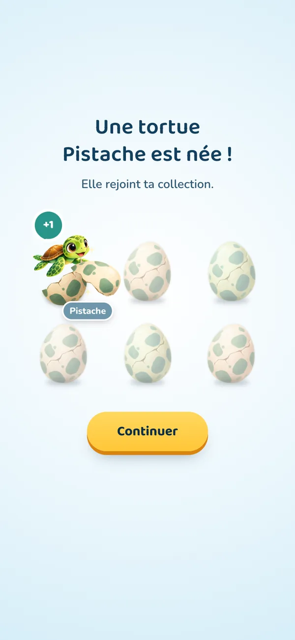 Une tortue vient d’éclore